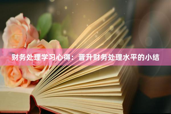 财务处理学习心得：晋升财务处理水平的小结